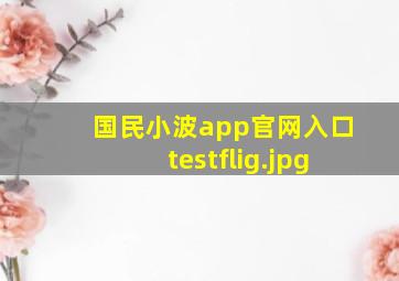 国民小波app官网入口testflig