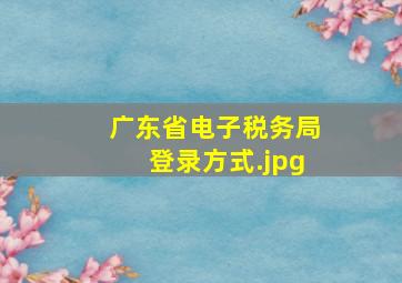 广东省电子税务局登录方式