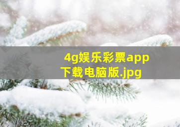 4g娱乐彩票app下载电脑版